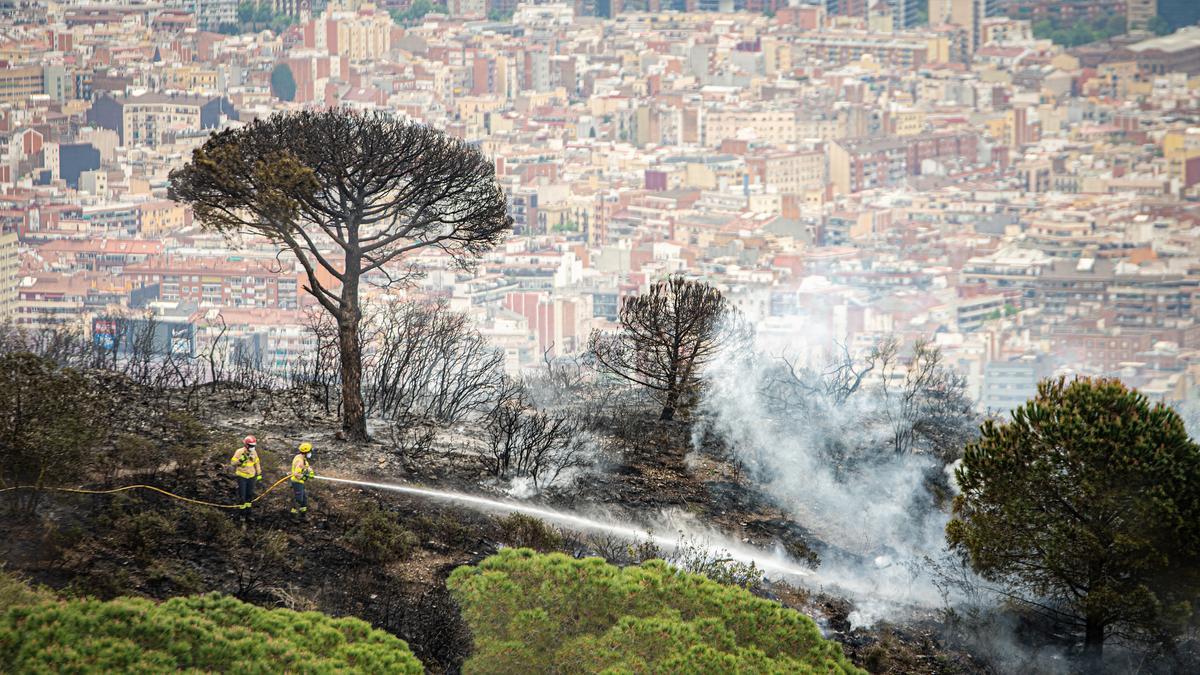 incendio collserola