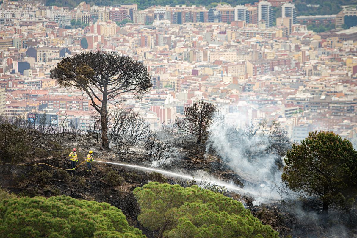 Nou incendi a la serra de Collserola