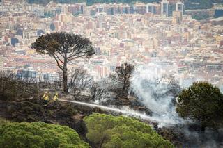 Alerta máxima en Collserola, un polvorín en plena sequía