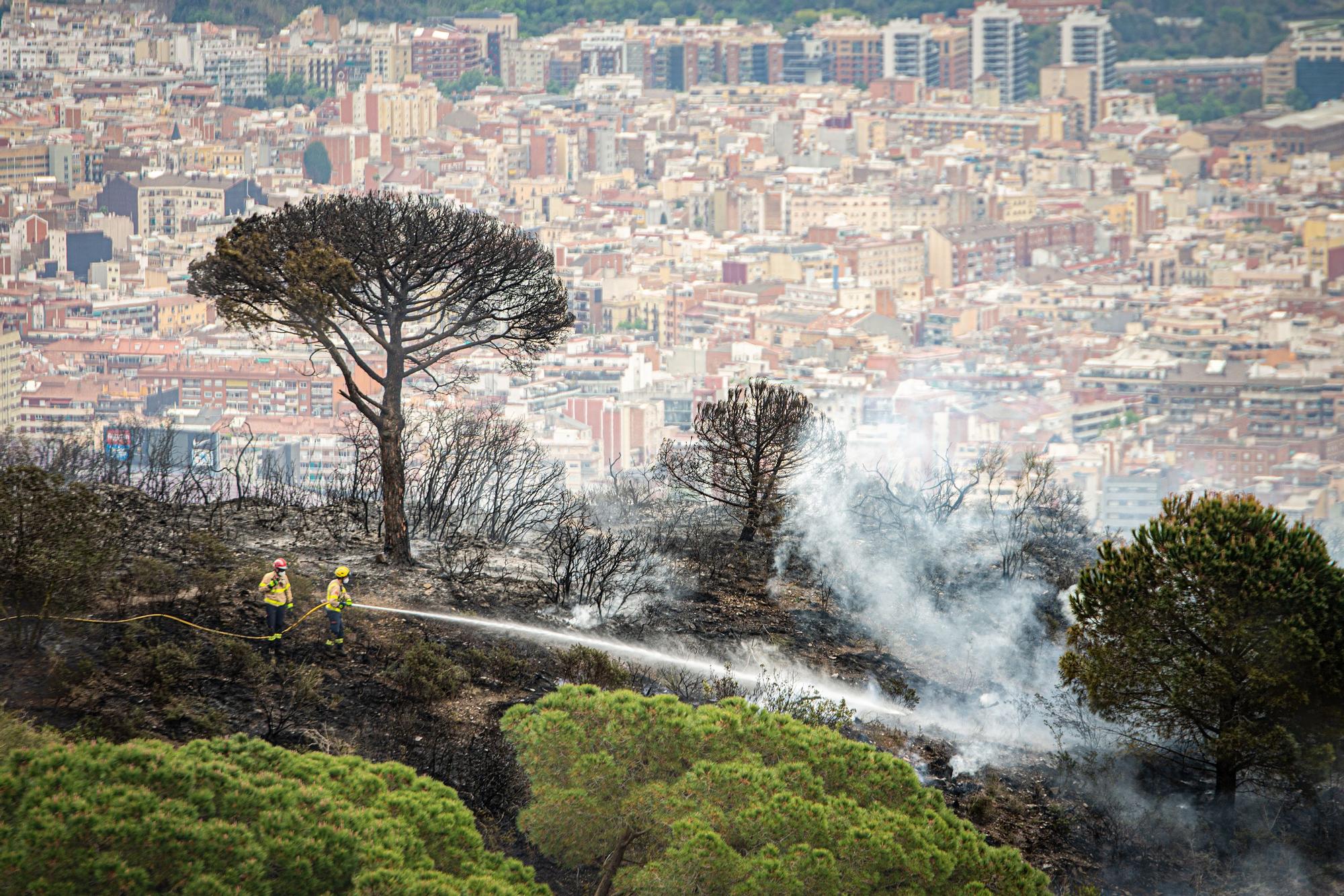 incendio collserola