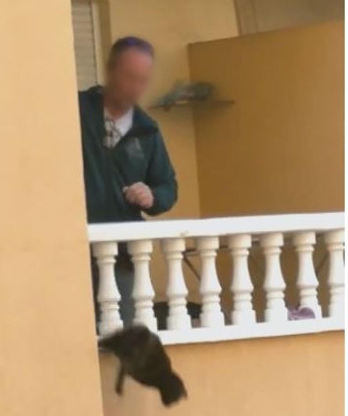 Uno de los gatos se precipita al vacío desde el balcón de un primer piso empujado por el hombre que ha sido sancionado con una multa 11.110 euros