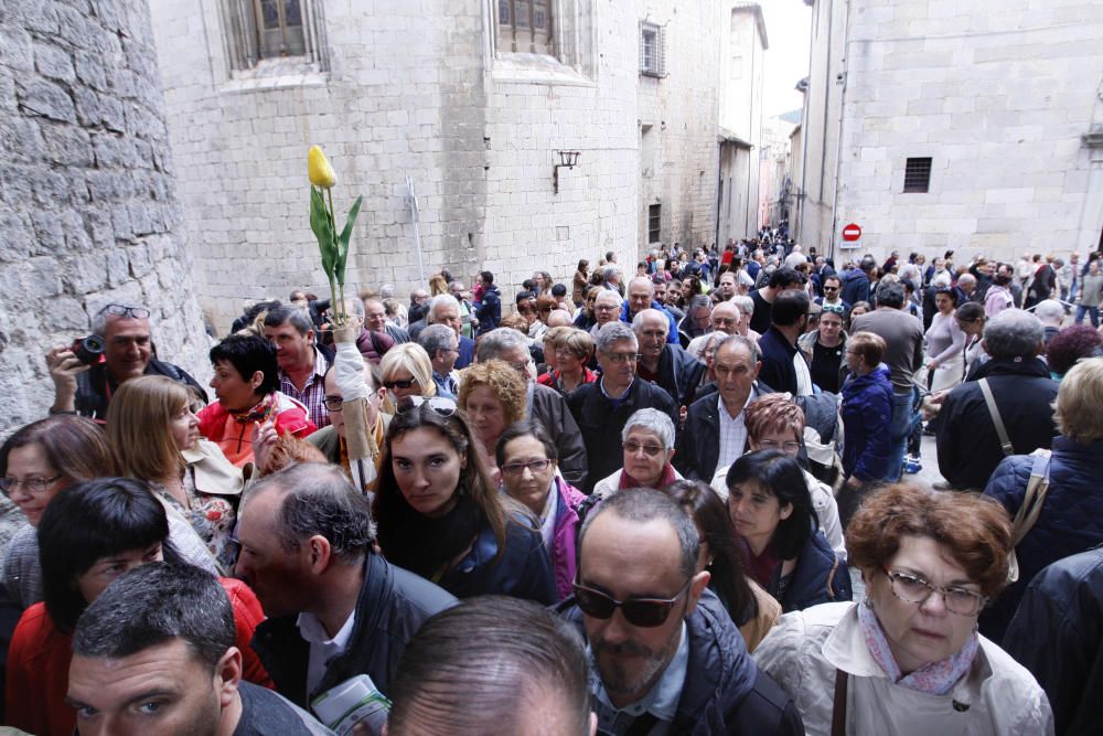 Girona floreix amb «Temps de Flors»