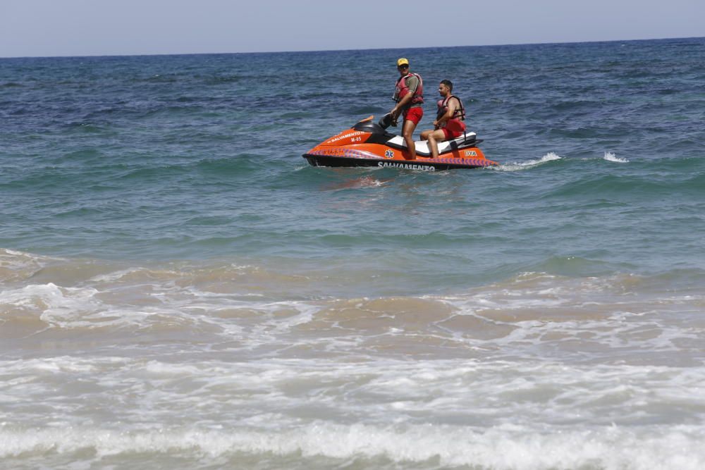 Batida en Arenales para localizar al tiburón