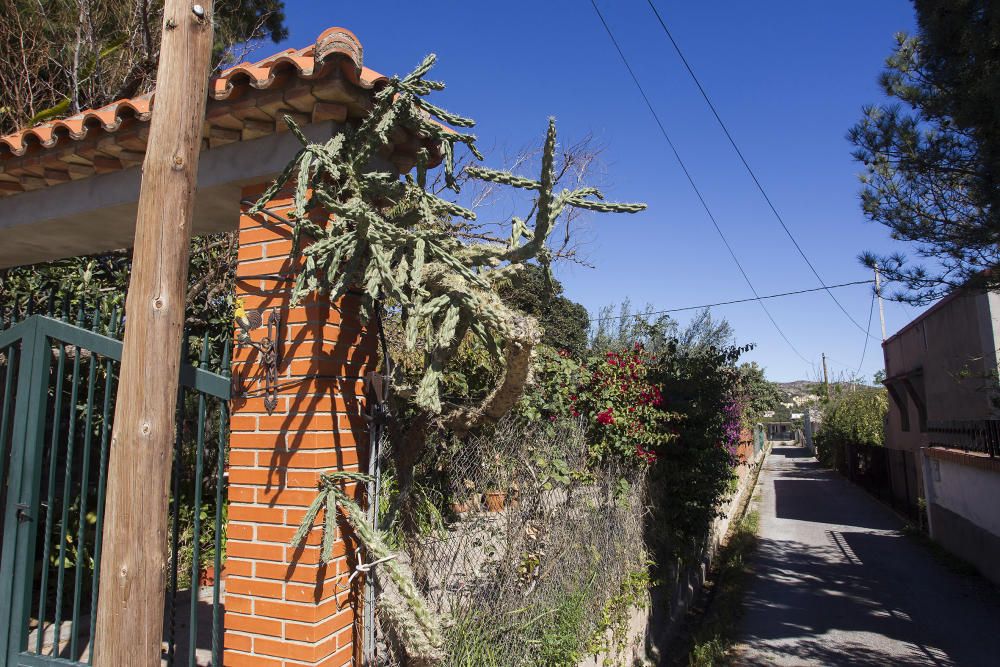 El Barrio de... Racó de Natura