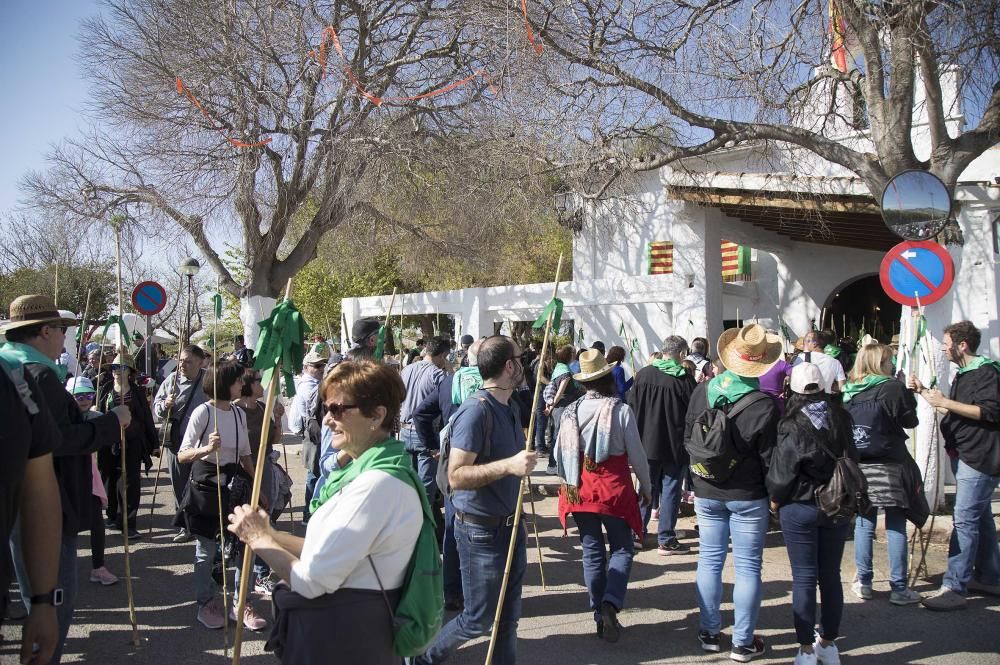 Magdalena 2019: Romeria de les canyes