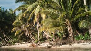 Isla de Sain Marie, en Madagascar, donde han aparecido los cuerpos de los ecologistas asesinados.