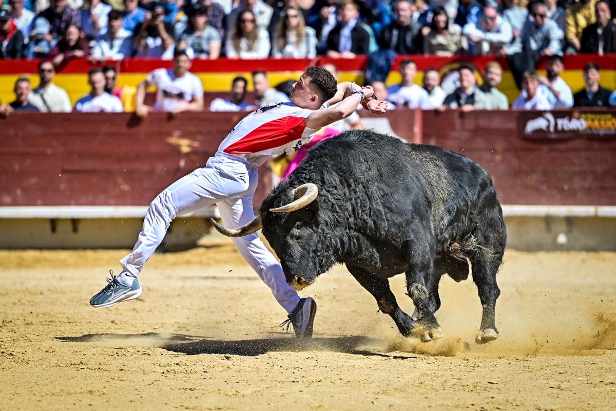 Concurso recortadores