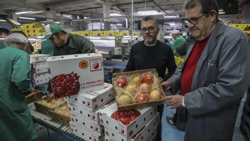 Una trabajadora selecciona, ayer, las granadas que se van a enviar.