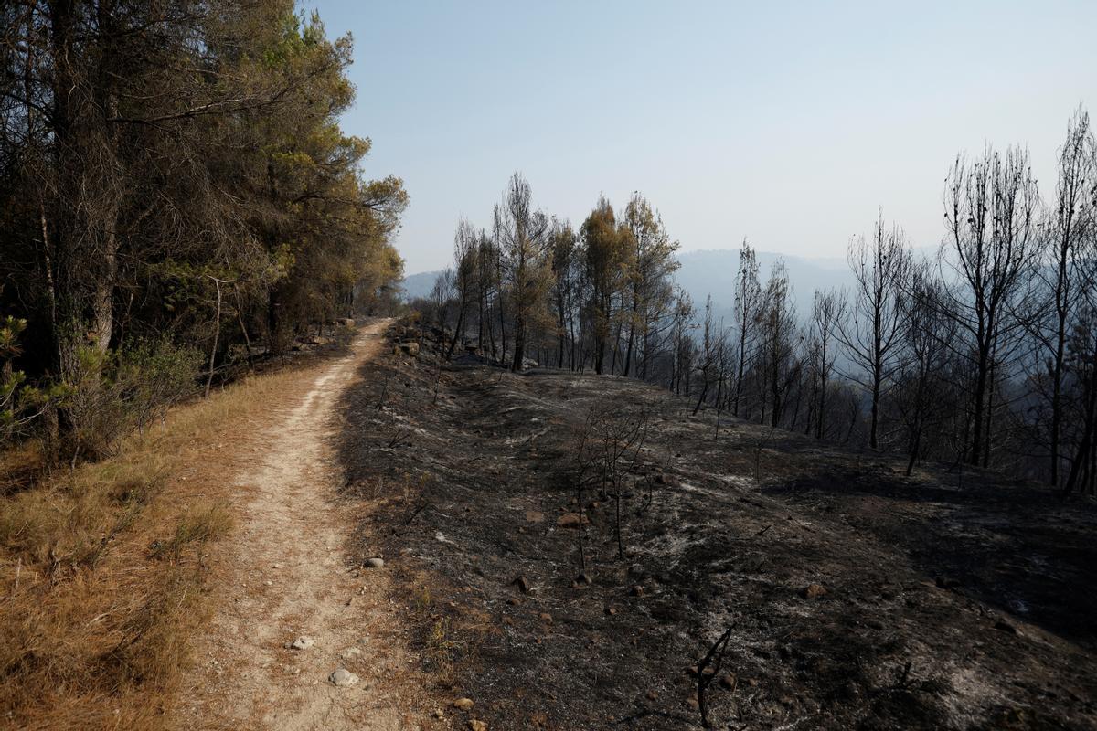 Superficie quemada en el incendio en El Pont de Vilomara