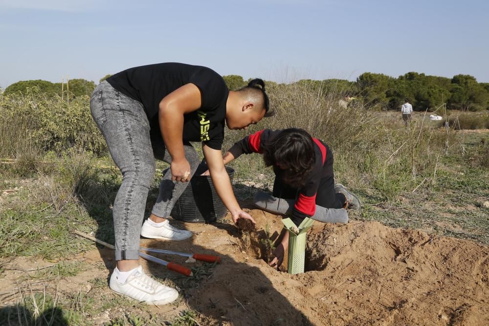 Plantación de especies autóctonas de alumnos del IES Mare Nostrum el día del arbol en el parque natural de las lagunas