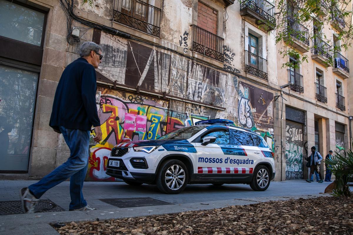 Las palomas toman un bloque abandonado en el casco antiguo de Barcelona