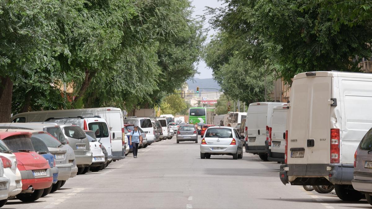 Las fotos de la calle General Ricardo Ortega de Palma, donde el Ayuntamiento talará 39 árboles