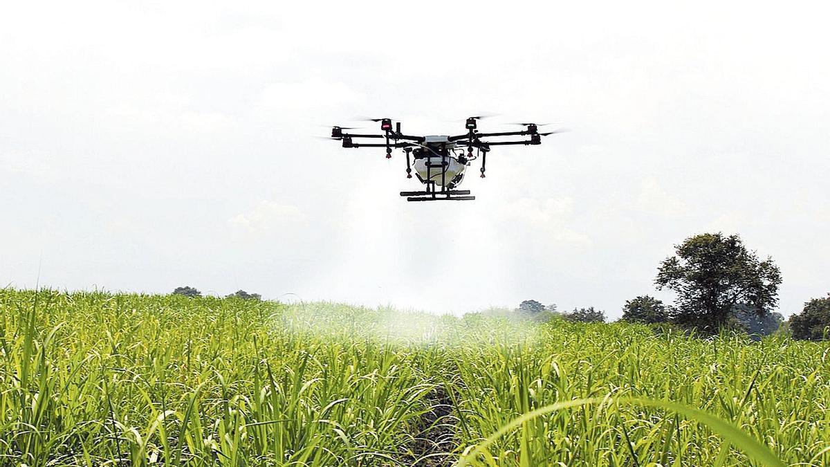Un dron agrícola fumiga un campo de cultivo.