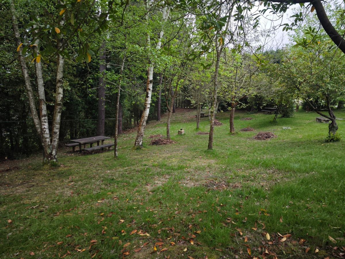 Una vista del área recreativa.