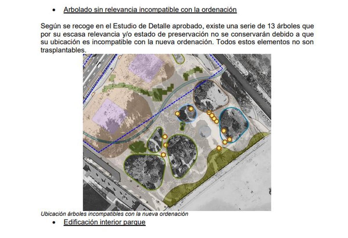 Detalle de la documentación de la empresa en la que descarta parte del arbolado del parque de Doña Sinforosa, en un principio el de menor porte