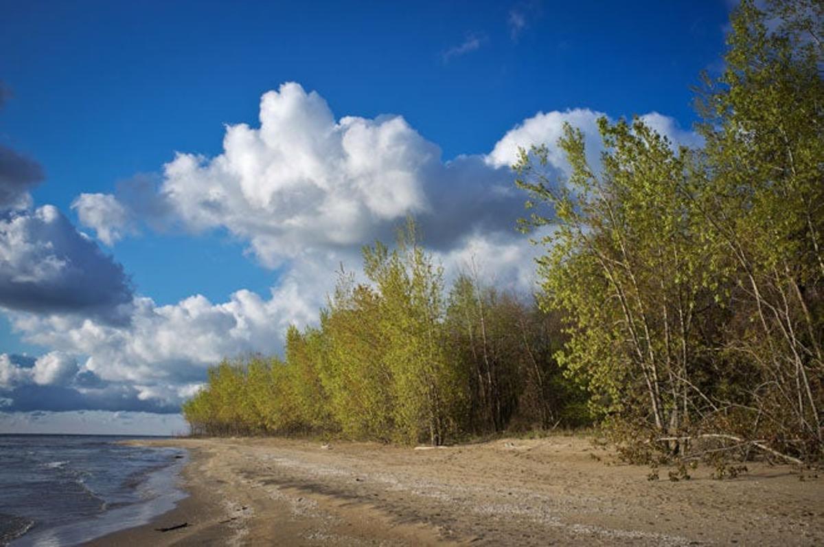 Lago Erie