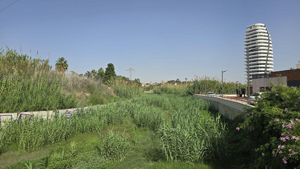 El tramo urbano del barranco del Quisi