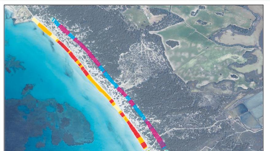 La playa de  es Trenc ha retrocedido  14 metros de media desde el ‘boom’ turístico