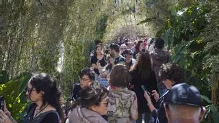 Temps de fugir de coipús, bicicletes i altres invasors a Girona