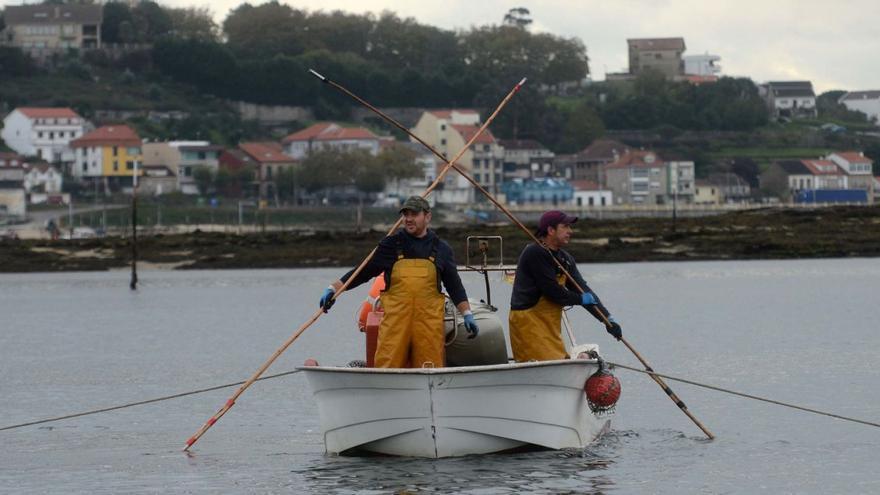 Una de las embarcaciones participantes en la pasada campaña de libre marisqueo en Os Lombos do Ulla, a la altura de Carril. |   //  NOÉ PARGA
