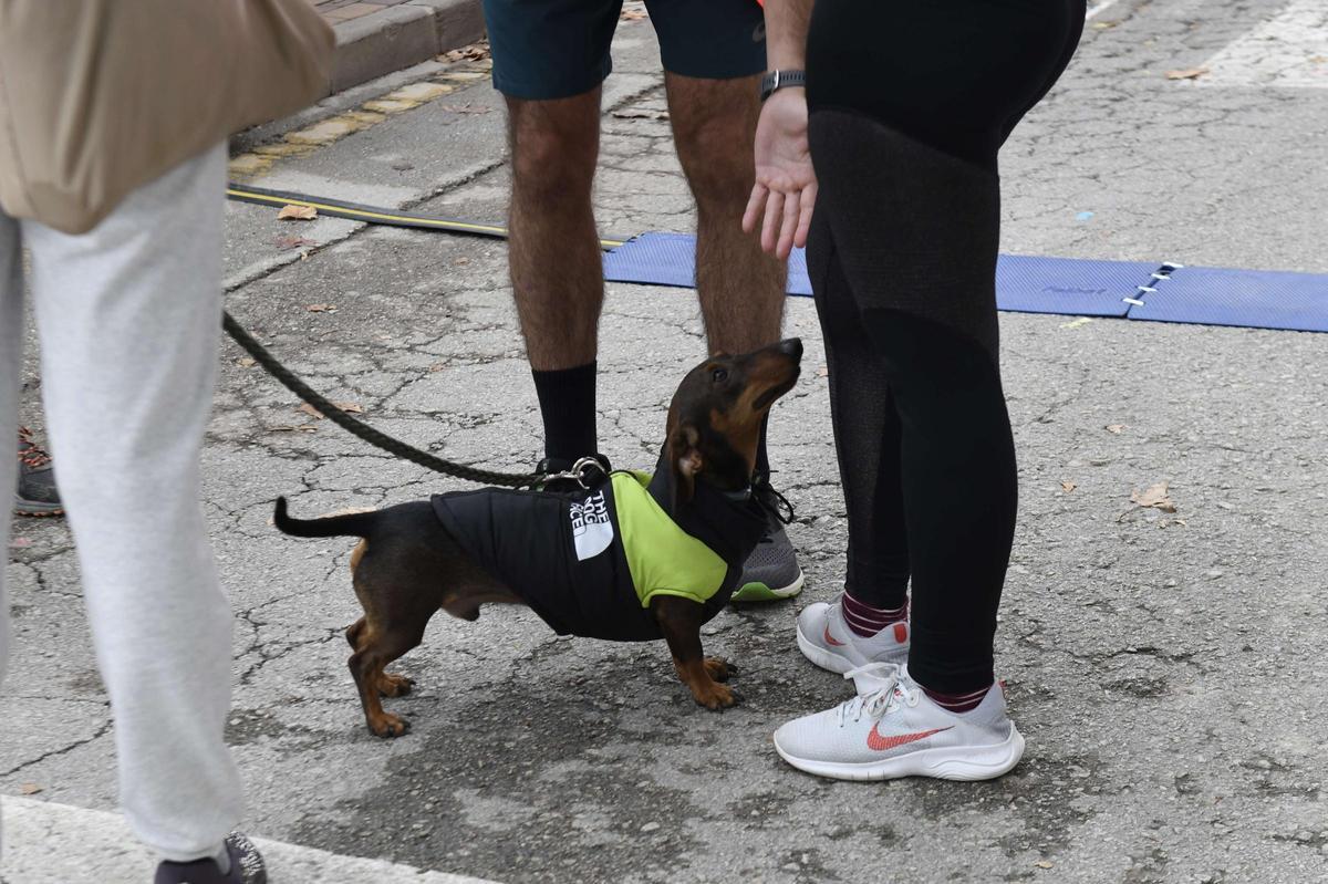 La Carrera Popular de Patiño 2024, en imágenes