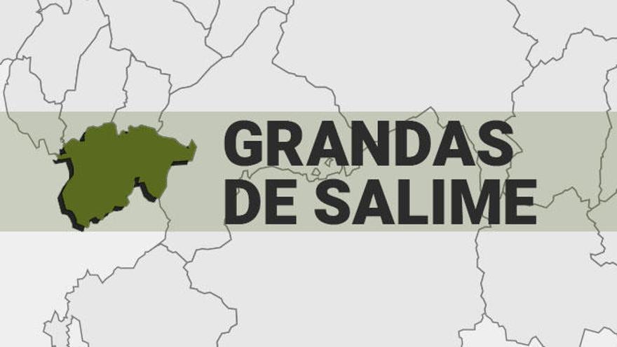 Resultados de las elecciones generales en Grandas de Salime