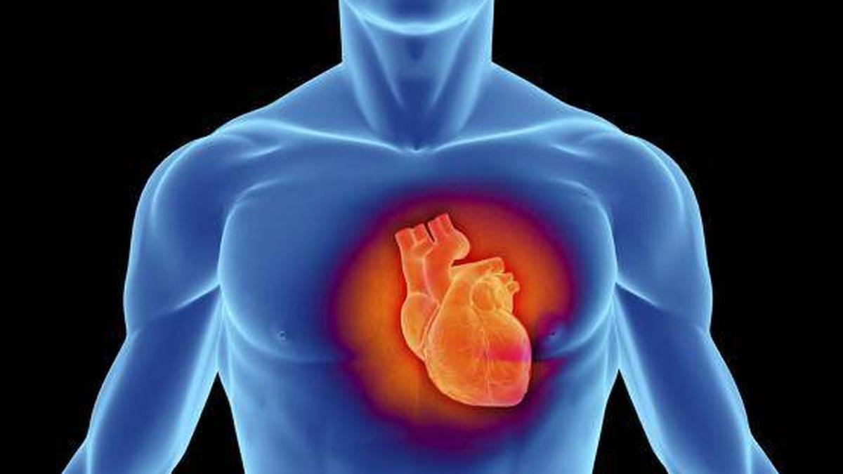 Torso de un hombre con el corazón destacado.