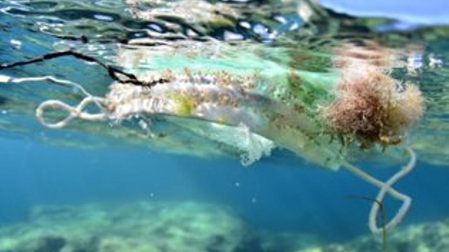 Fotografía de Xavier Mas premiada en el MARE.   | XAVIER MAS FERRÀ