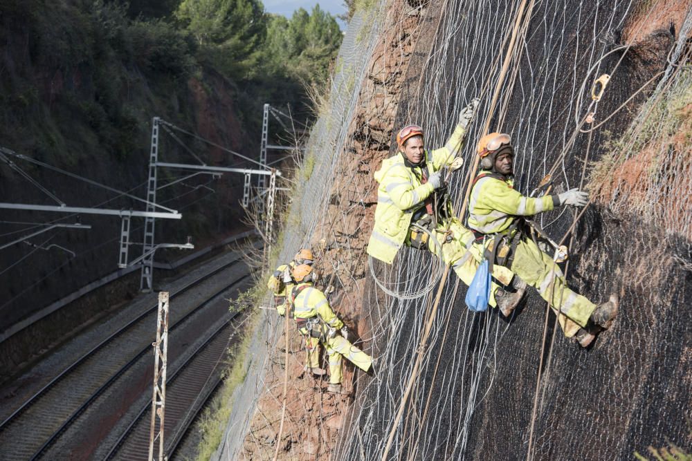 El tren torna a circular