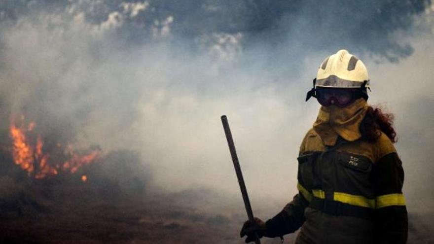 Un bombero trabaja en las labores de extinción en el municipio ourensano de Montederramo. / efe