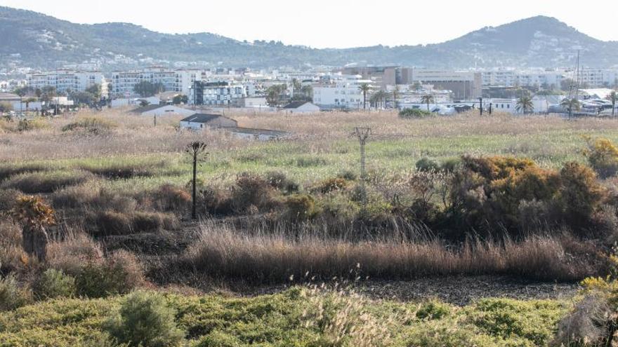 El Ayuntamiento de Ibiza insta a los propietarios a mantener limpias ses Feixes