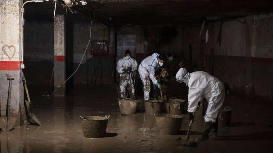 El frío y la humedad: gérmenes del moho en la zona cero