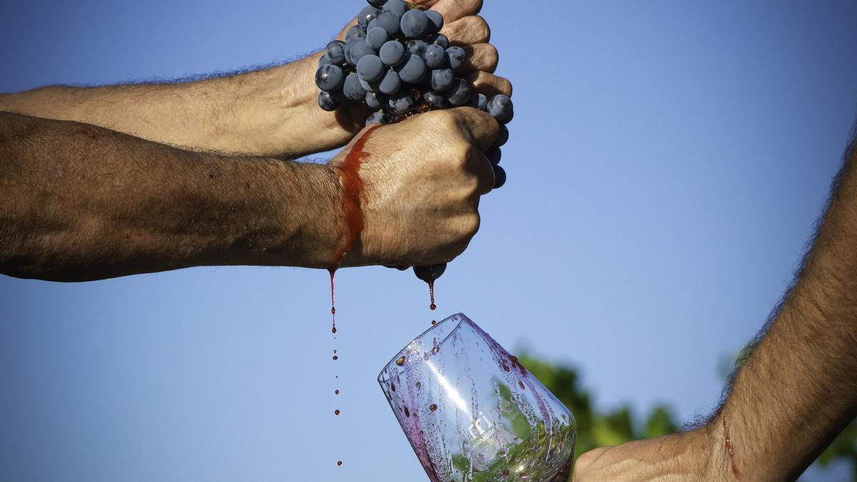 Vino de la DO Arribes