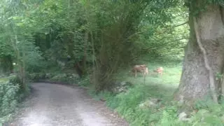 Por Porrúa a la ruta de Mañanga: un espectacular paseo para toda la familia
