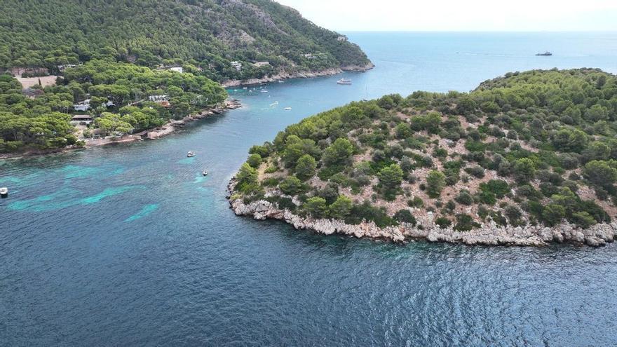 Fundación Marilles cuestiona la ejecución del Plan de Conservación Marina del Govern al no tener presupuesto