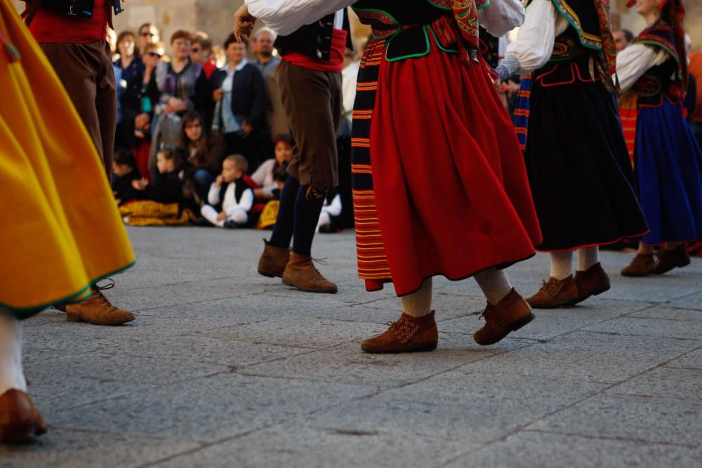 Celebración del Día de la Danza