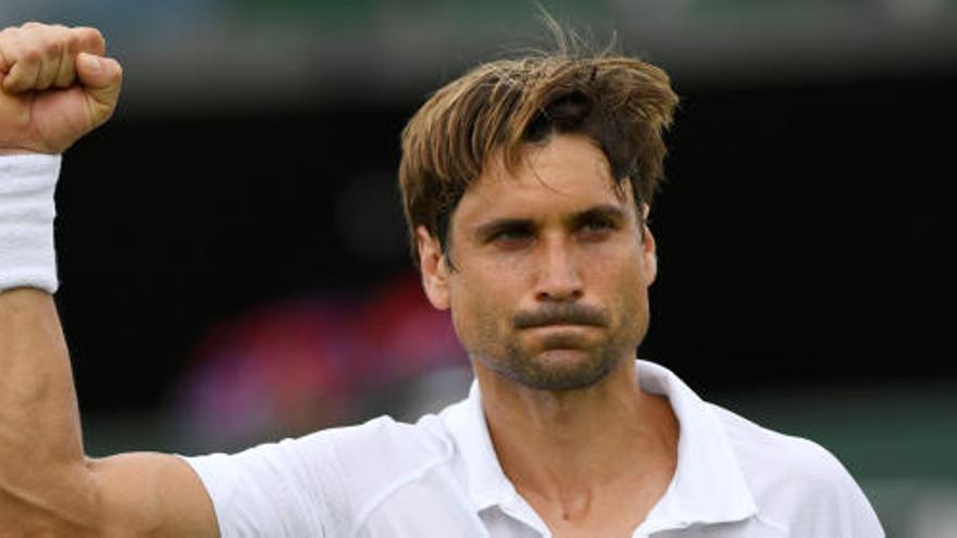 David Ferrer