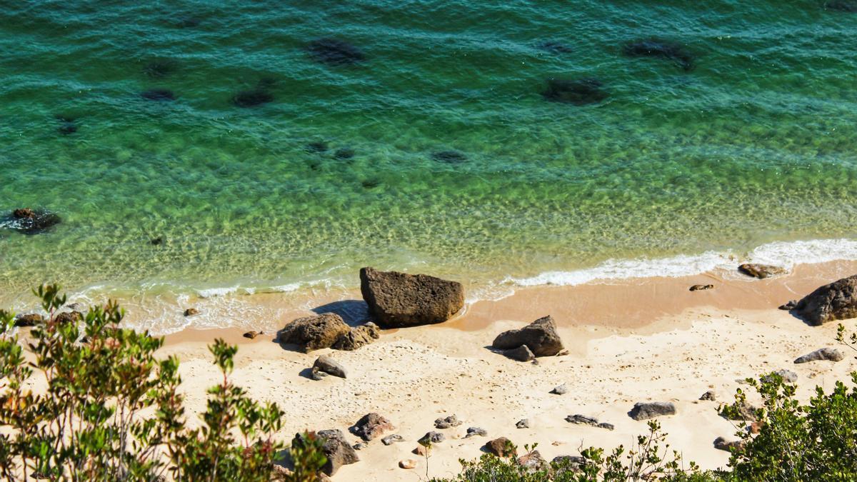 La playa donde te puedes bañar con jabalís: está en la península y es una joya