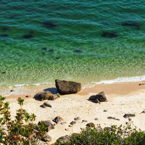 La playa donde te puedes bañar con jabalís: está en la península y es una joya