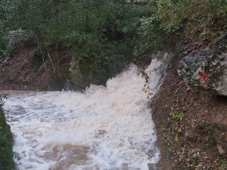 L'aigua a les Coves del Toll