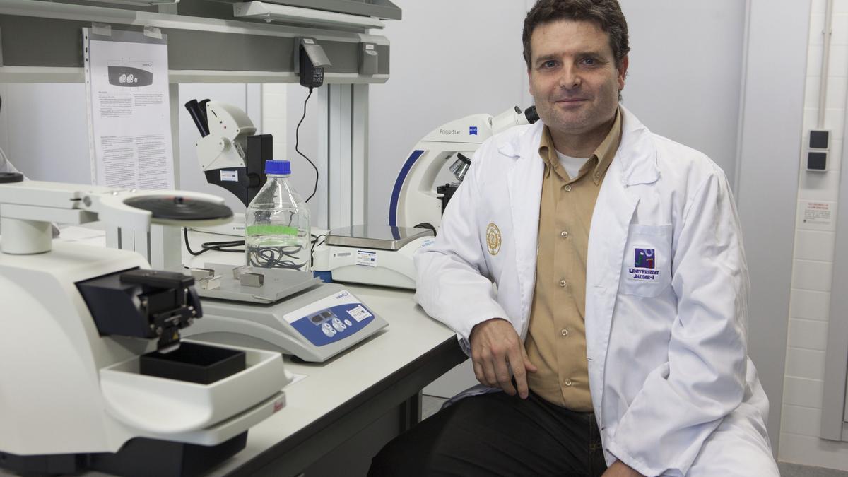 Conrado Martínez, vicedecano de Ciencias de la Salud de la UJI