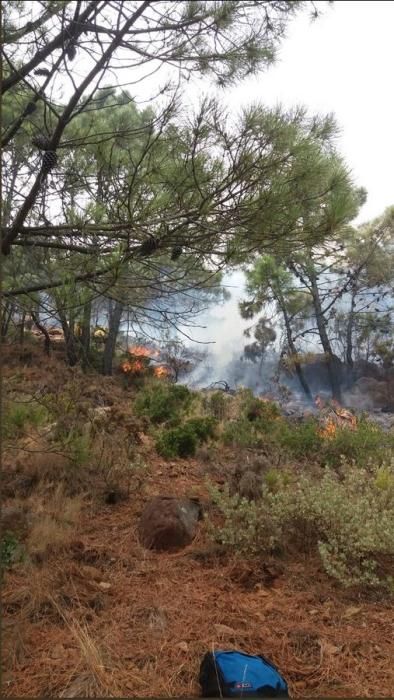 Incendio forestal en Benahavís