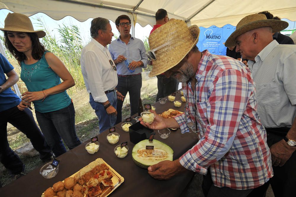 Inicio de la campaña del melón de Carrizales