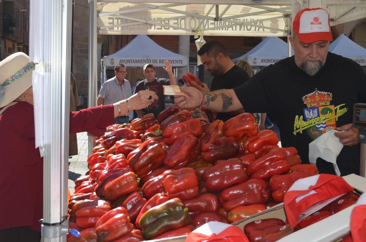 La Feria del Pimiento de Benavente 2026, en imágenes La Feria del Pimiento de Benavente 2026, en imágenes