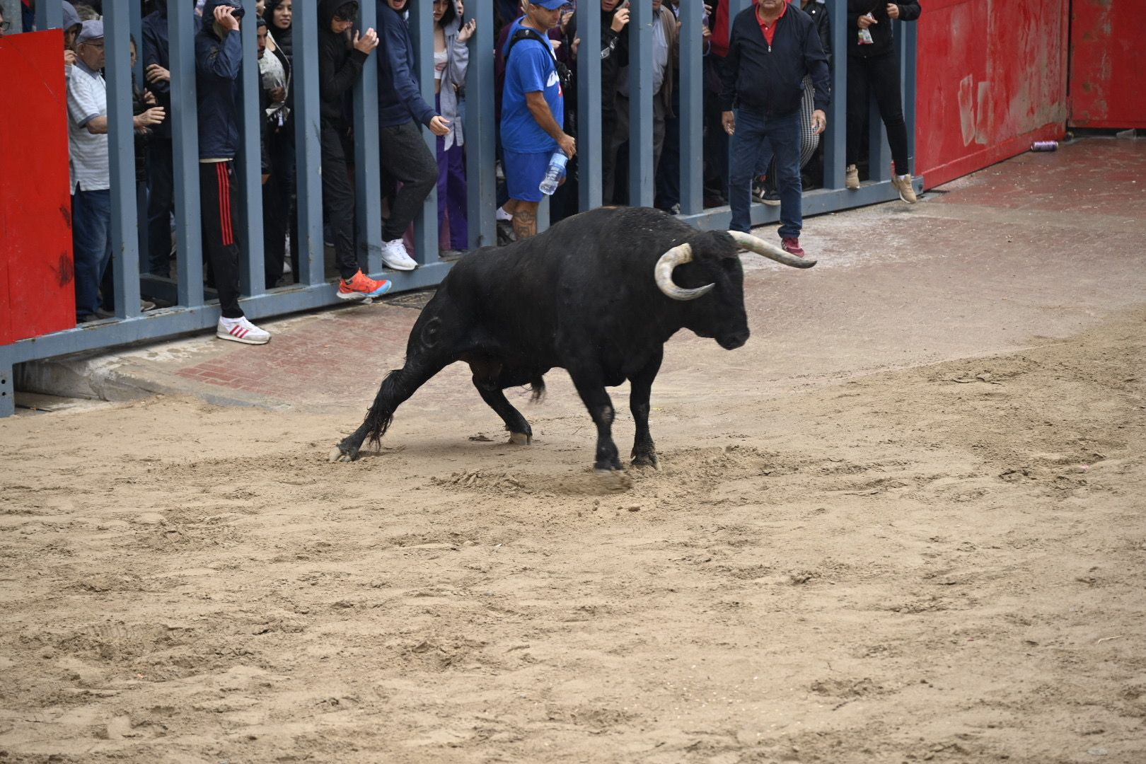 Las mejores imágenes de la jornada festiva en Vila-real