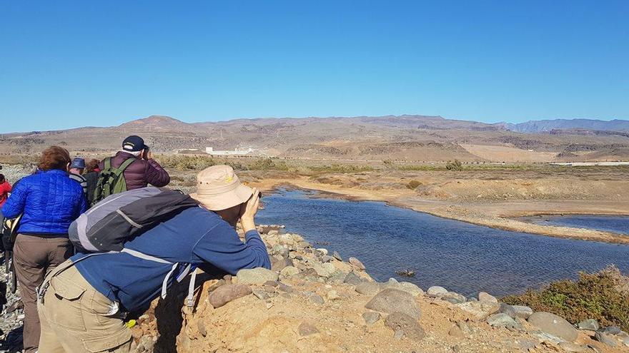 Descubriendo Juncalillo del Sur y la Charca de Maspalomas