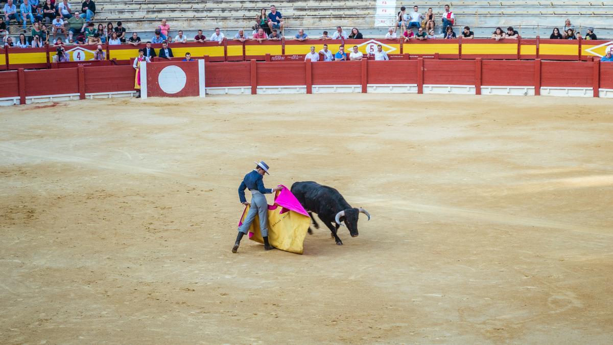 Un conocido torero vuelve a los ruedos por sorpesa