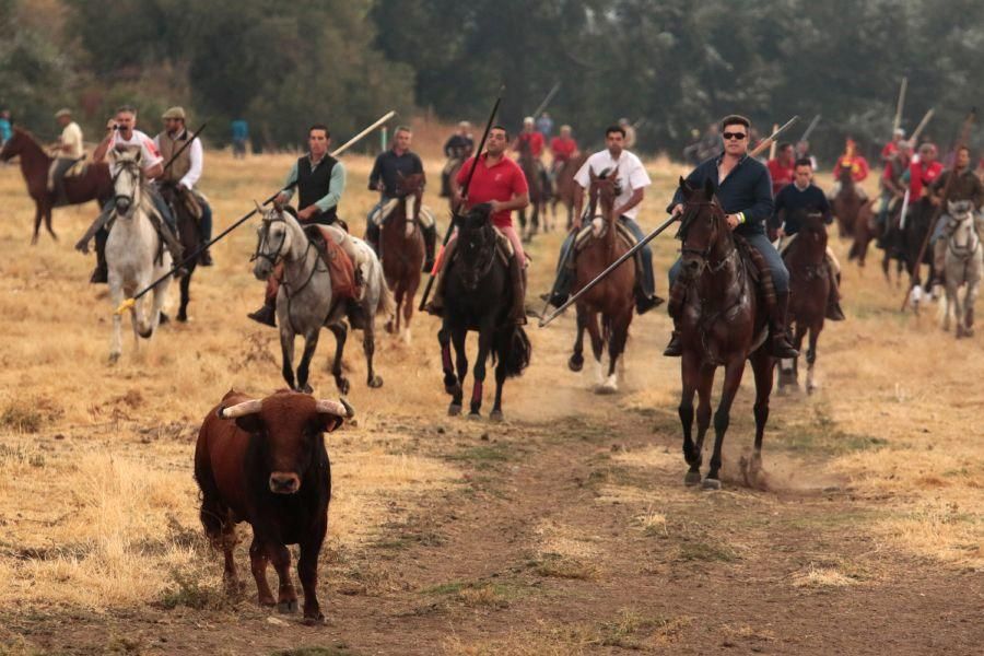 Encierro en San Miguel de la Ribera