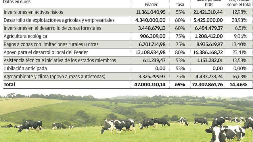 Asturias prepara una reforma &quot;de calado&quot; del plan europeo de ayudas para el campo