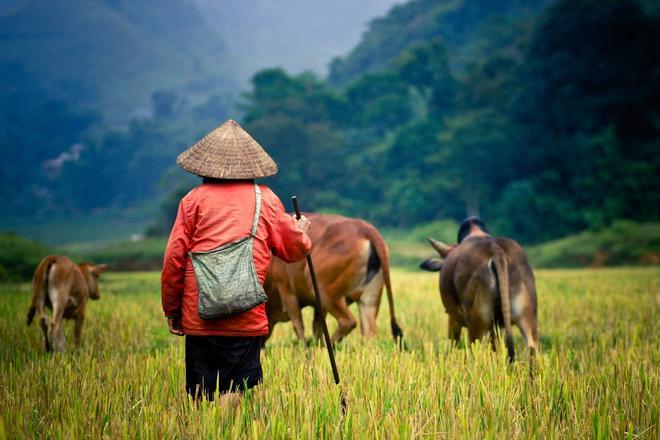 Laos